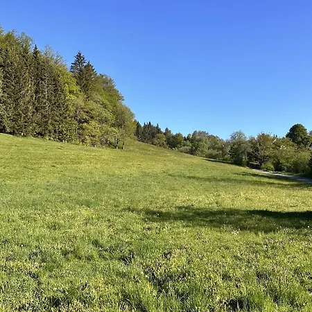 Smart 2 Bb2 321 Готель Вінтерберг